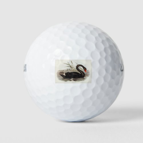 Black Swan Vintage Golf Balls