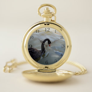 Black Swan Watching Giant Fish In River, Pocket Watch
