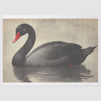 Black Swan Watercolor Decoupage Bird Illustration Tissue Paper