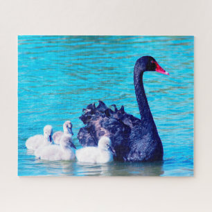 Black Swan with her babies, Jigsaw Puzzle