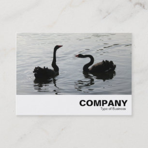 Black Swans Greeting Business Card