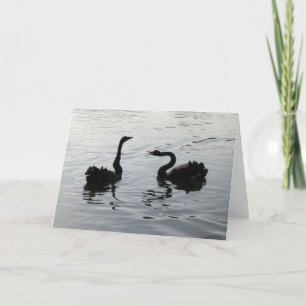 Black Swans Greeting Card