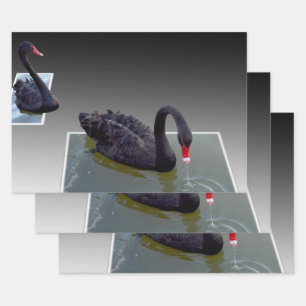 Black Swans In Ponds, Gift Wrap, Decoupage Sheets, Wrapping Paper Sheets