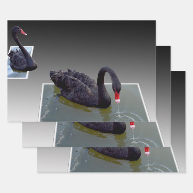 Black Swans In Ponds, Gift Wrap, Decoupage Sheets, Wrapping Paper Sheets (Set)