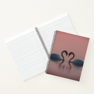 Black Swans Must Be Love Pink Sky Notebook
