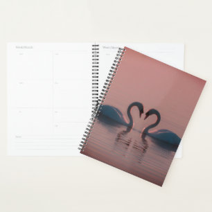 Black Swans Must Be Love Pink Sky Planner