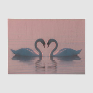 Black Swans Must Be Love Pink Sky Tissue Paper