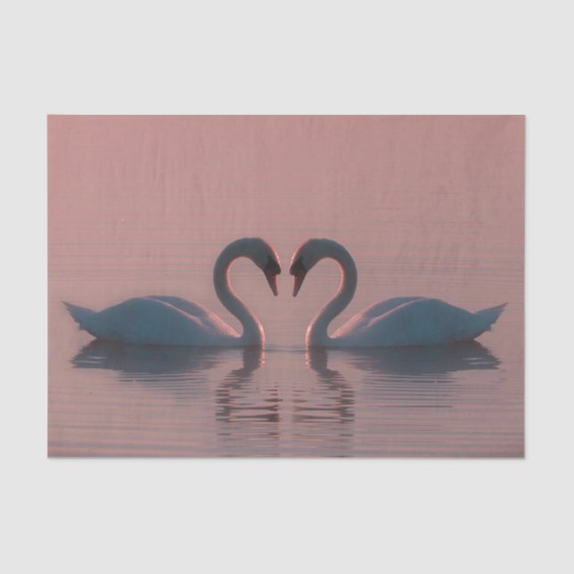 Black Swans Must Be Love Pink Sky Tissue Paper (Front)