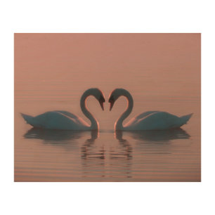 Black Swans Must Be Love Pink Sky Wood Wall Art