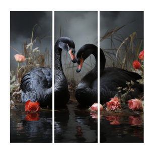 Black swans on the water triptych