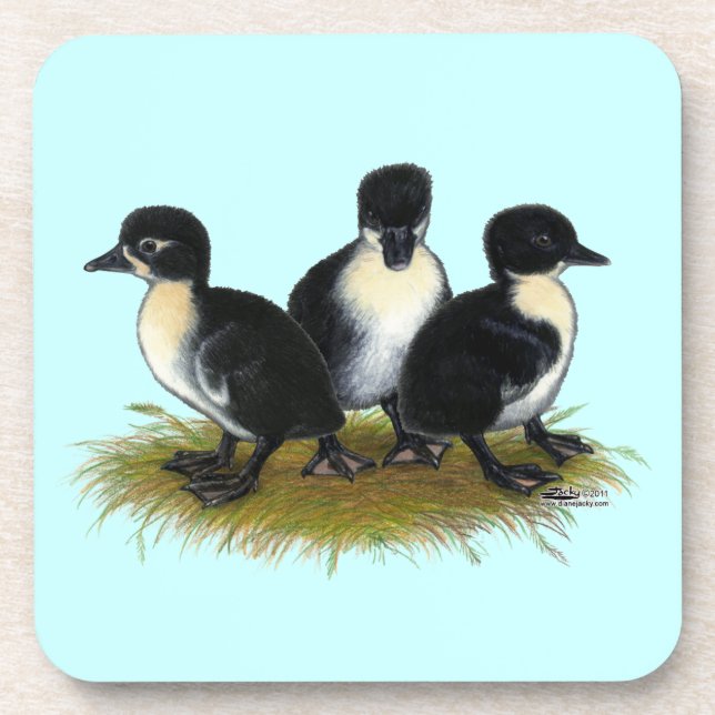 Black Swedish Ducklings Drink Coaster (Front)