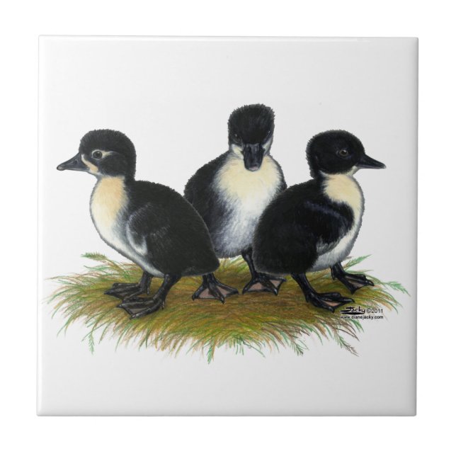 Black Swedish Ducklings Tile (Front)