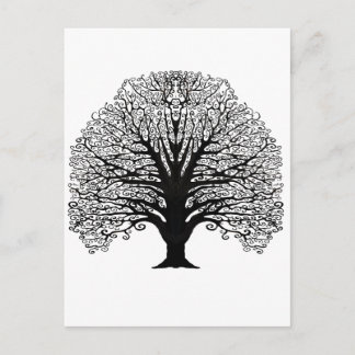 Black Swirl Tree Postcard