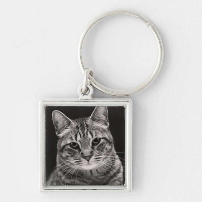 Black Tabby Kitten Keychain (Front)