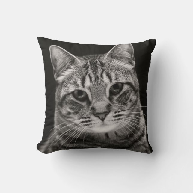 Black Tabby Kitten Throw Pillow (Front)