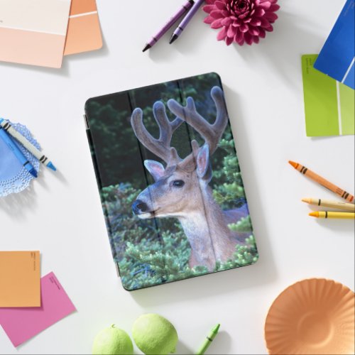 Black_tail Deer  Olympic National Park iPad Air Cover