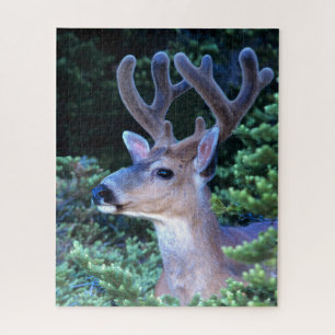 Black-tail Deer Olympic National Park Jigsaw Puzzle