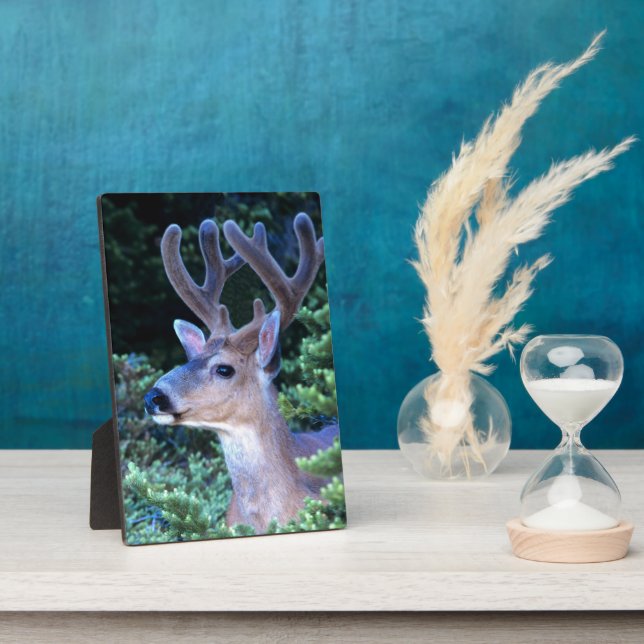 Black-tail Deer | Olympic National Park Plaque (Side)