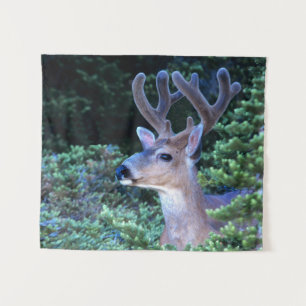 Black-tail Deer Olympic National Park Tapestry