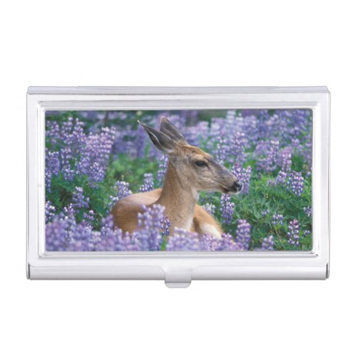 Black_tailed deer doe resting in siky lupine business card case