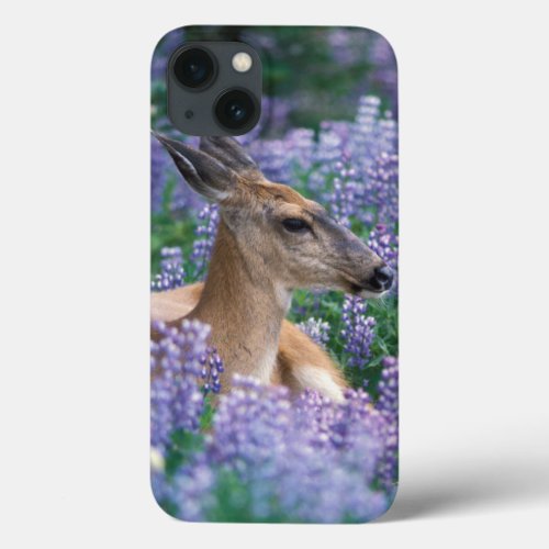 Black_tailed deer doe resting in siky lupine iPhone 13 case