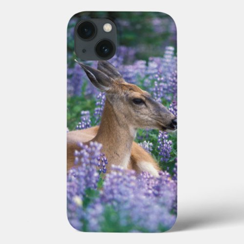 Black_tailed deer doe resting in siky lupine iPhone 13 case