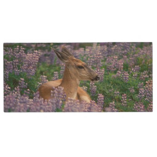 Black_tailed deer doe resting in siky lupine wood USB flash drive