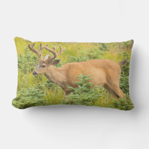 Black-tailed deer lumbar pillow