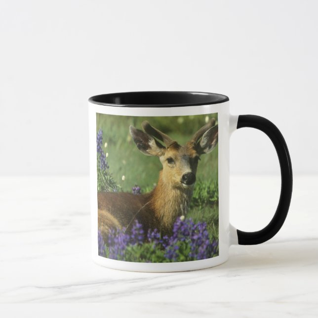 Black-tailed Deer, Odocoileus hemionus Mug (Right)