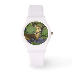 Black-tailed Deer, Odocoileus hemionus Watch