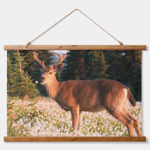 Black_tailed Deer  Olympic National Park Hanging Tapestry