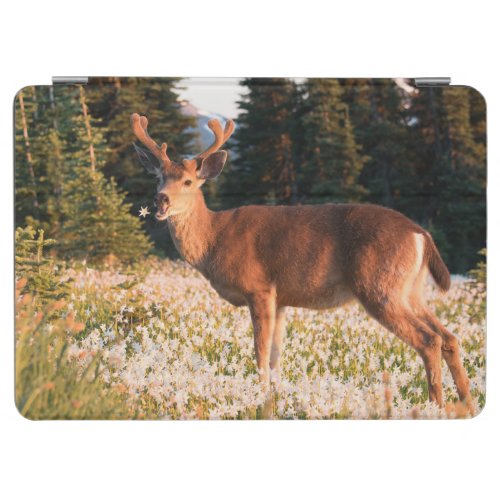 Black_tailed Deer  Olympic National Park iPad Air Cover