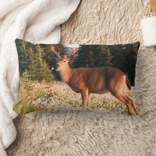 Black_tailed Deer  Olympic National Park Lumbar Pillow