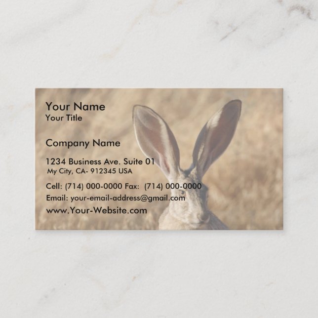 Black-tailed Jackrabbit Business Card (Front)