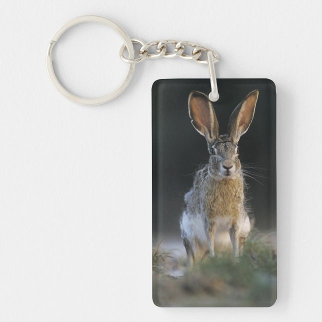 Black-tailed Jackrabbit, Lepus californicus, 2 Keychain (Front)