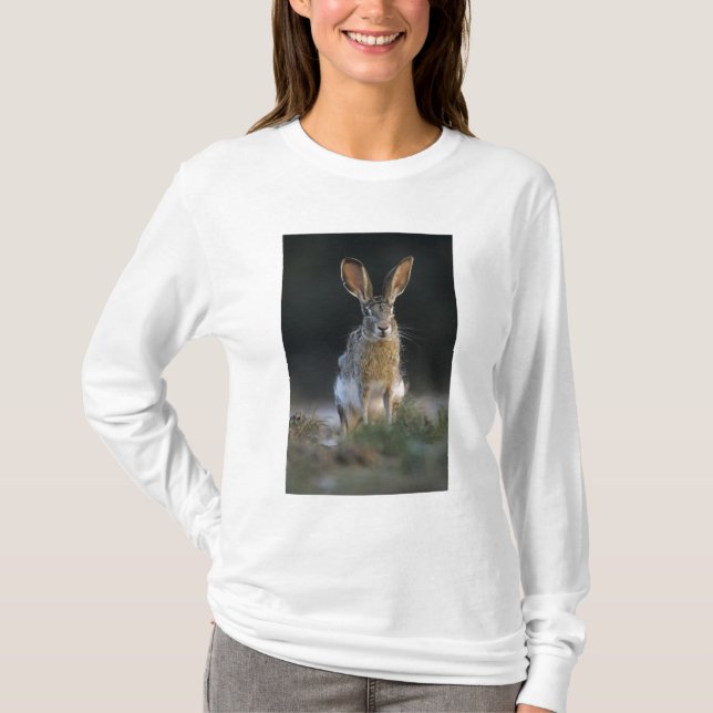 Black-tailed Jackrabbit, Lepus californicus, 2 T-Shirt (Front)