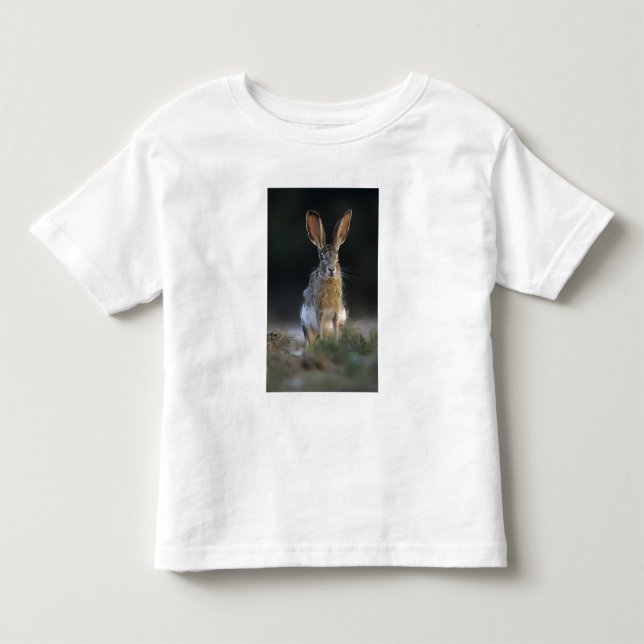 Black-tailed Jackrabbit, Lepus californicus, 2 Toddler T-shirt (Front)