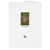 Black-tailed Prairie Dog (Back)