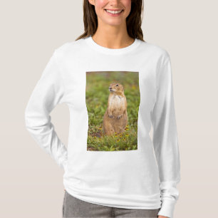 Black-tailed Prairie Dog Cynomys T-Shirt