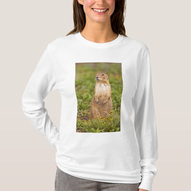Black-tailed Prairie Dog Cynomys T-Shirt (Front)