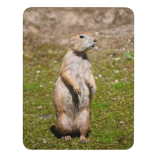 Black-tailed prairie dog door sign (Contemporary Vert)