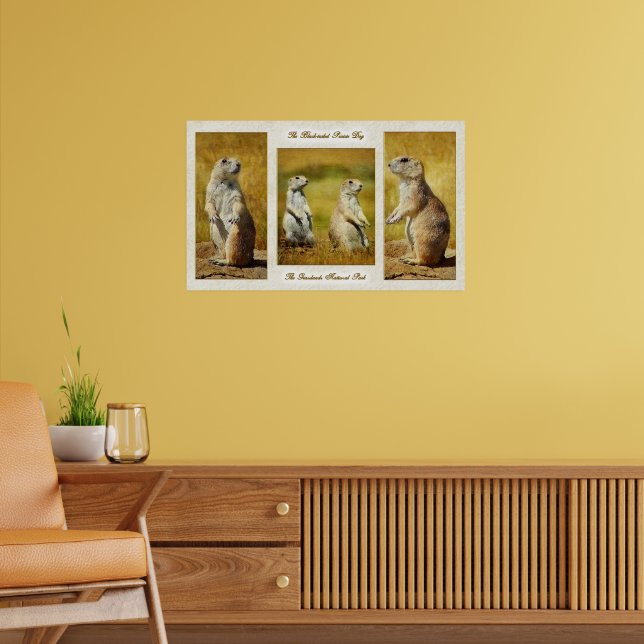 Black-tailed Prairie Dog Poster (Living Room 2)