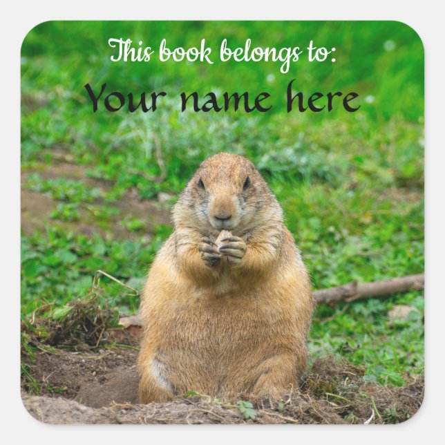 Black-tailed Prairie Dog Square Sticker (Front)