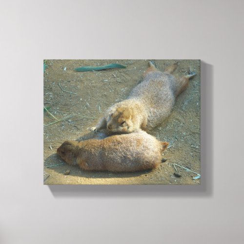 Black_tailed Prairie Dogs 1 Canvas