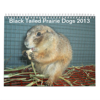 Black Tailed Prairie Dogs - 2013 Calendar