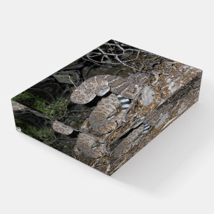 Black-tailed Rattlesnake Paperweight