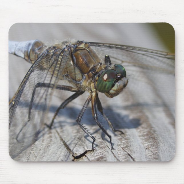 Black-tailed Skimmer Mouse Pad (Front)