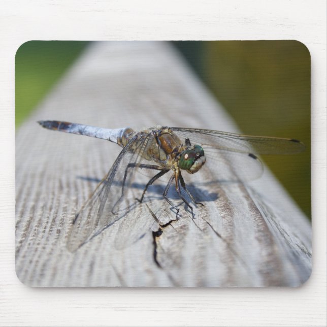 Black-tailed Skimmer Mouse Pad (Front)