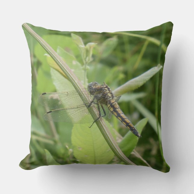Black-tailed Skimmer Throw Pillow (Front)