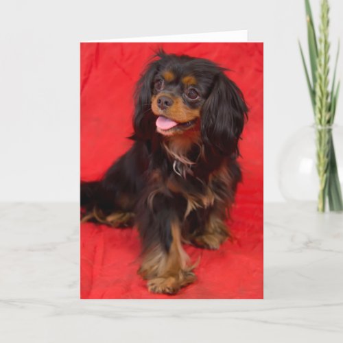 Black Tan Cavalier King Charles Pup Greeting Card